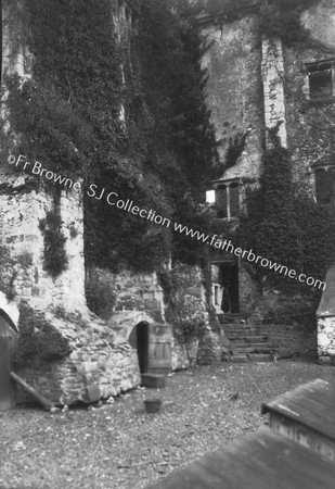 TINTERN ABBEY E.WALL WITH BUTRESSES